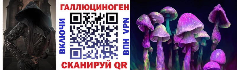 Псилоцибиновые грибы мицелий  Купить закладки  Долгопрудный 