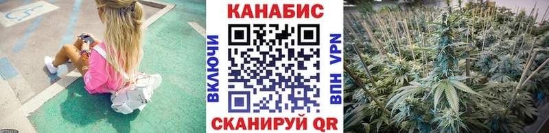 Купить где  Долгопрудный  Канабис марихуана 